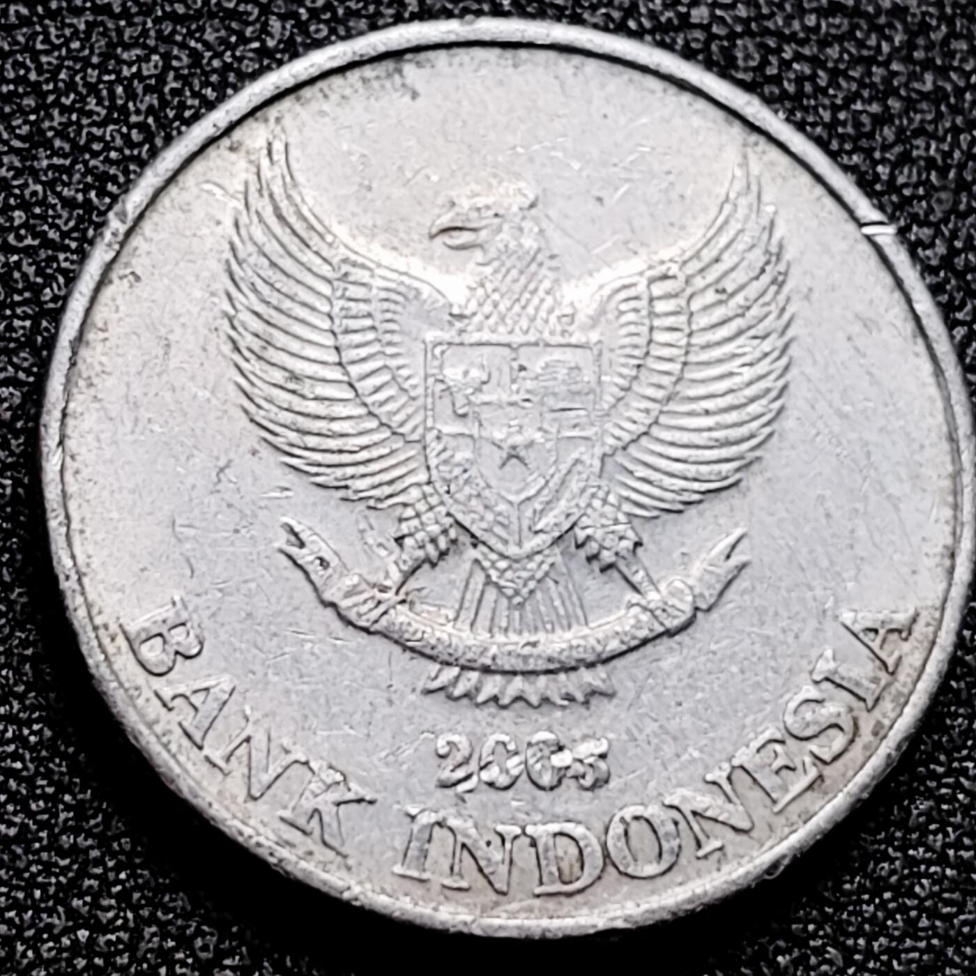 泉币菌-第172场- 精品福利场 。