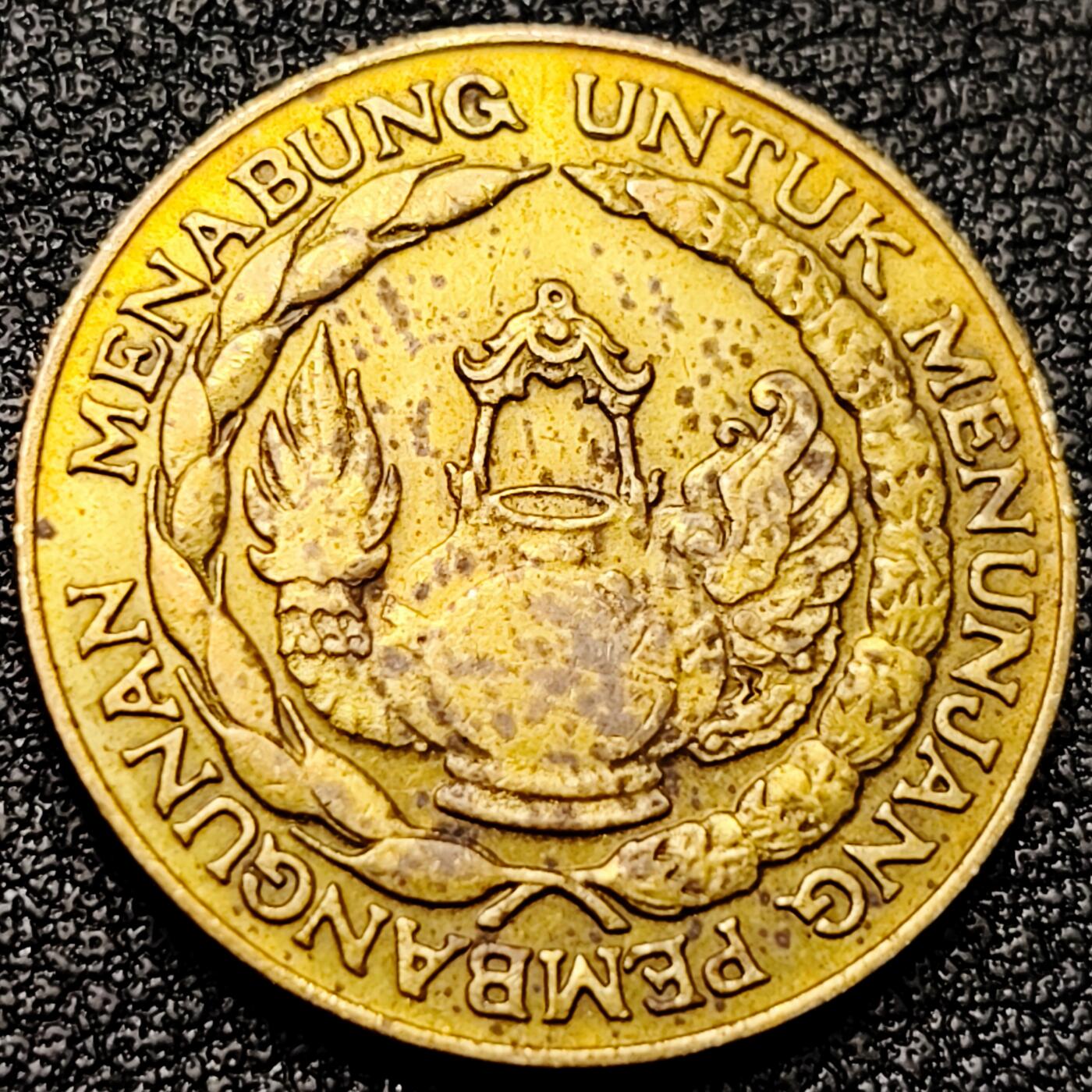 泉币菌-第172场- 精品福利场 。