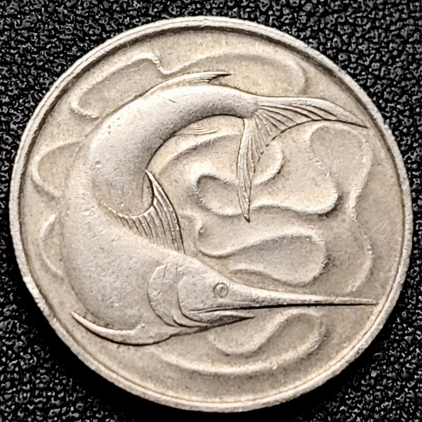 泉币菌-第172场- 精品福利场 。