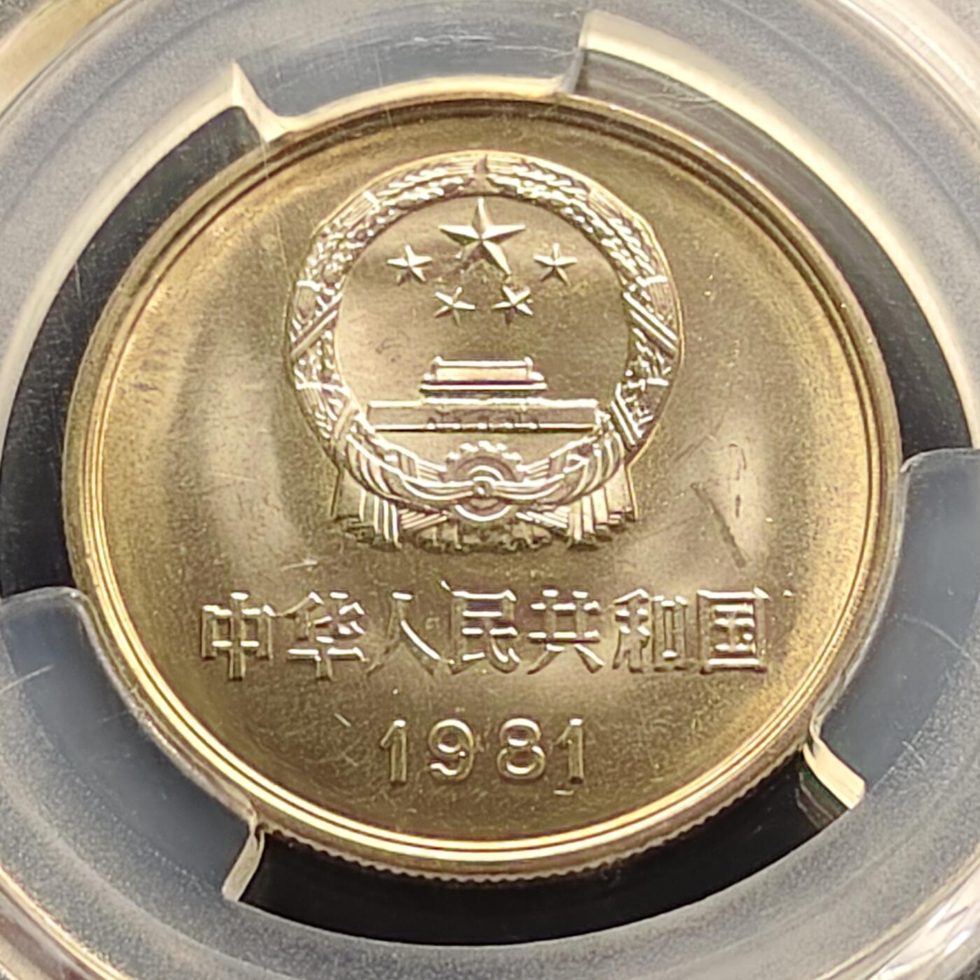 【全场包邮】纯粹捡漏拍497场-持续更新中