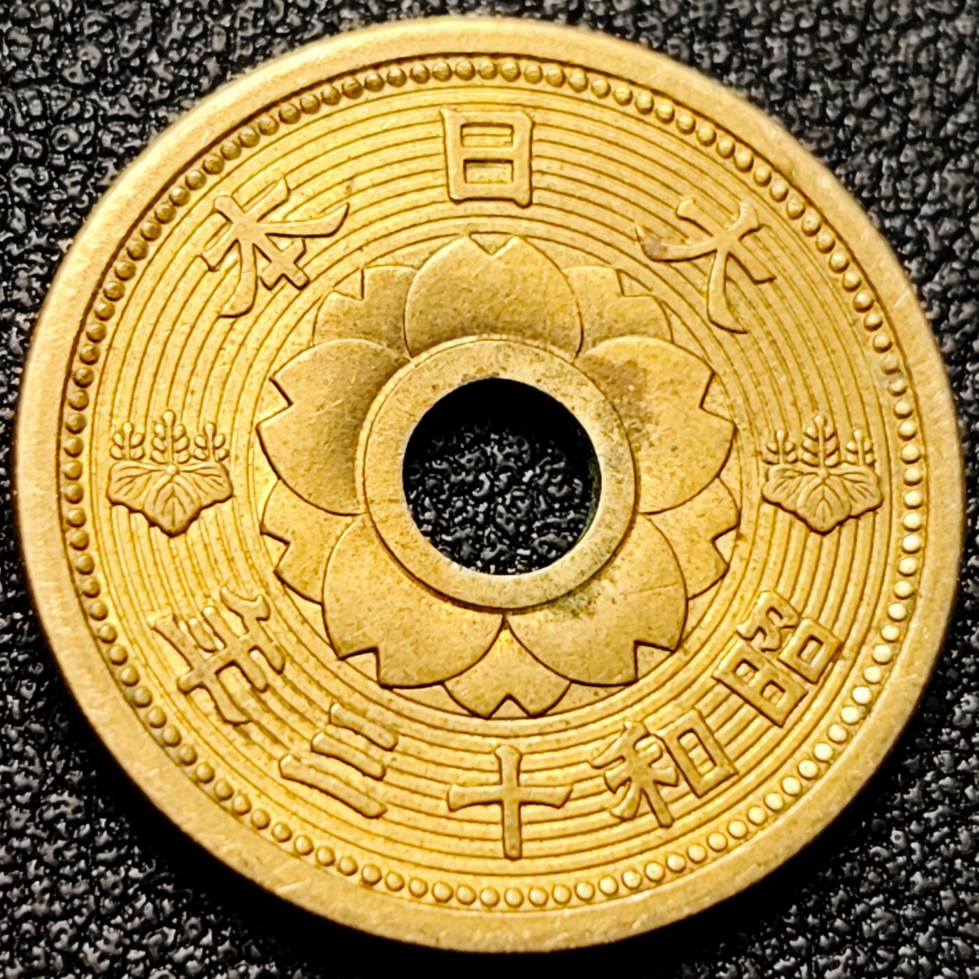 泉币菌-第172场- 精品福利场 。