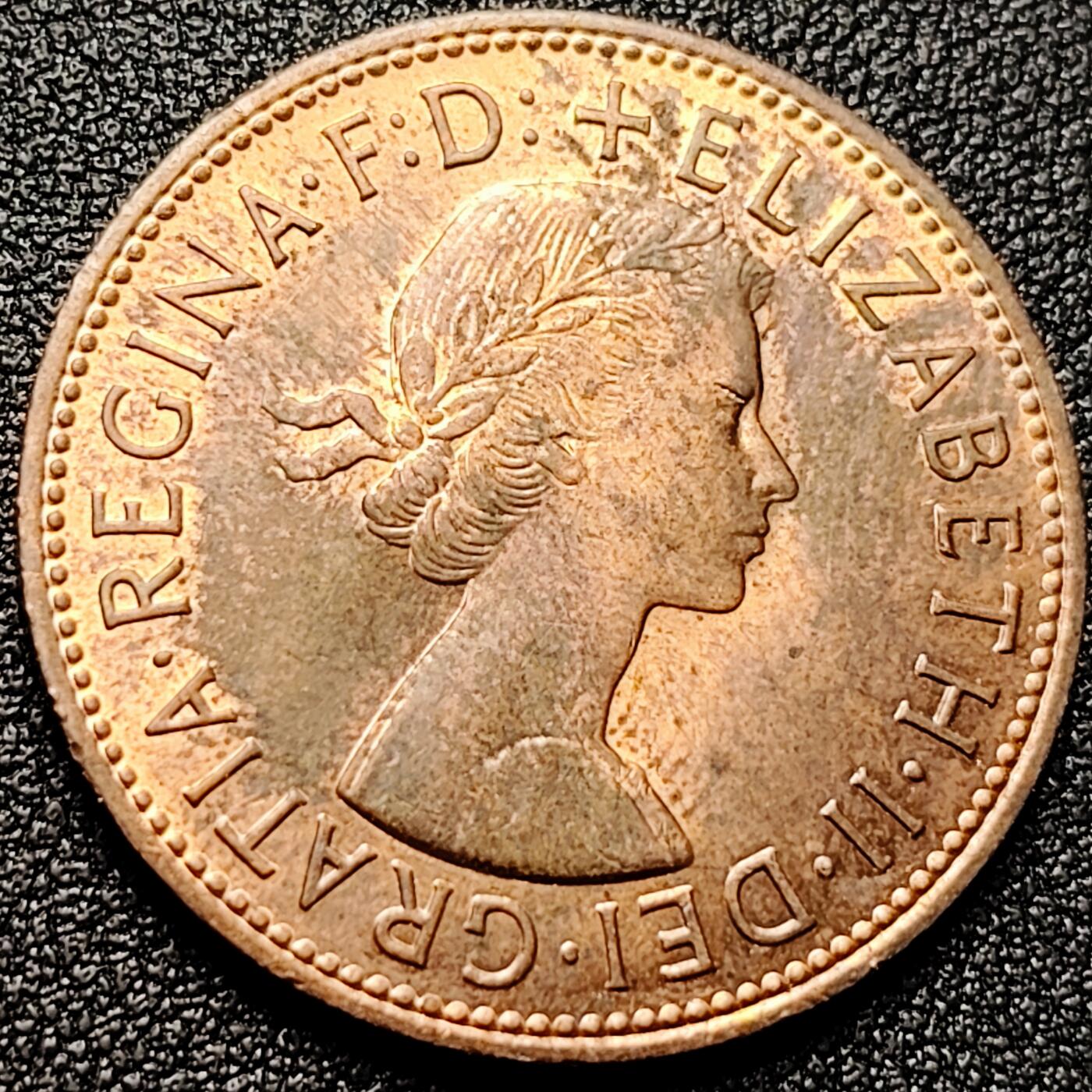 泉币菌-第172场- 精品福利场 。