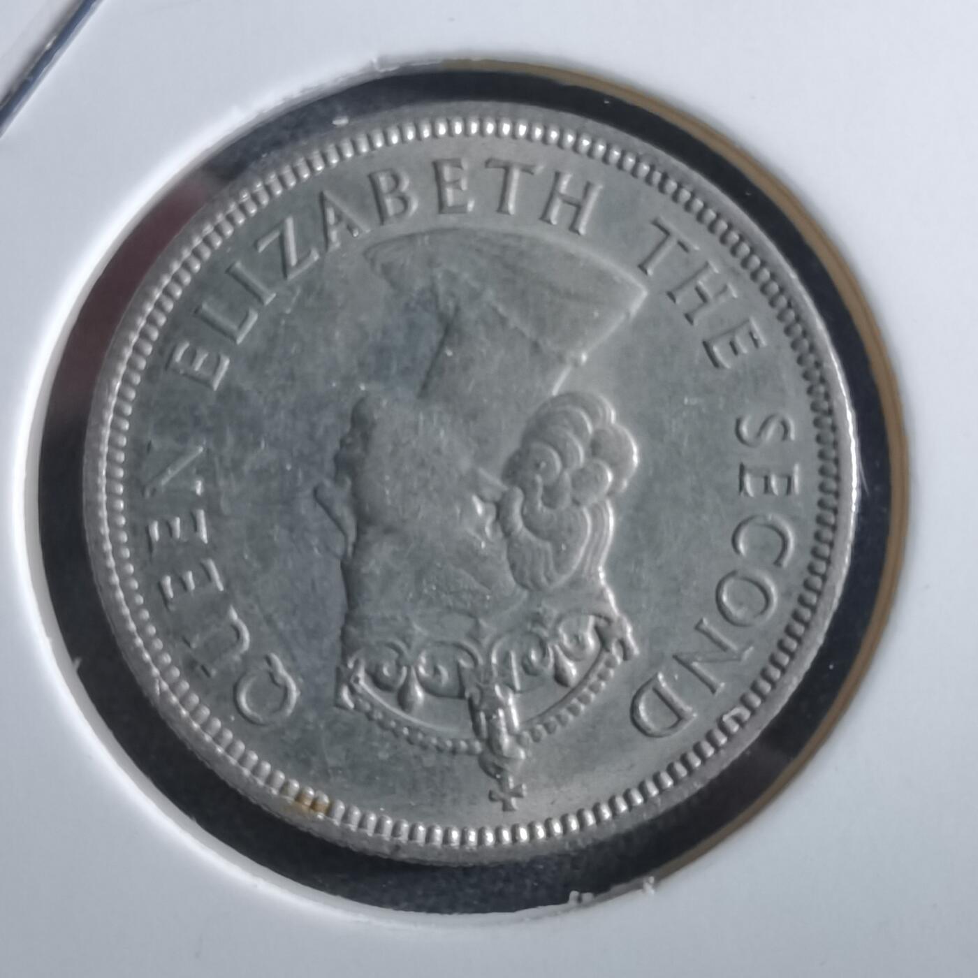 沼泽如烟--第966场