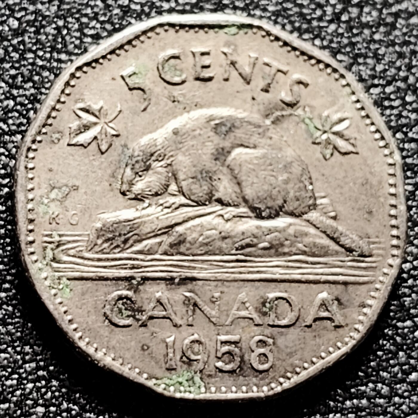 泉币菌-第172场- 精品福利场 。