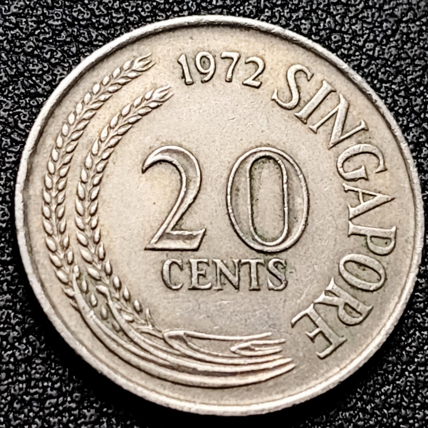 泉币菌-第172场- 精品福利场 。