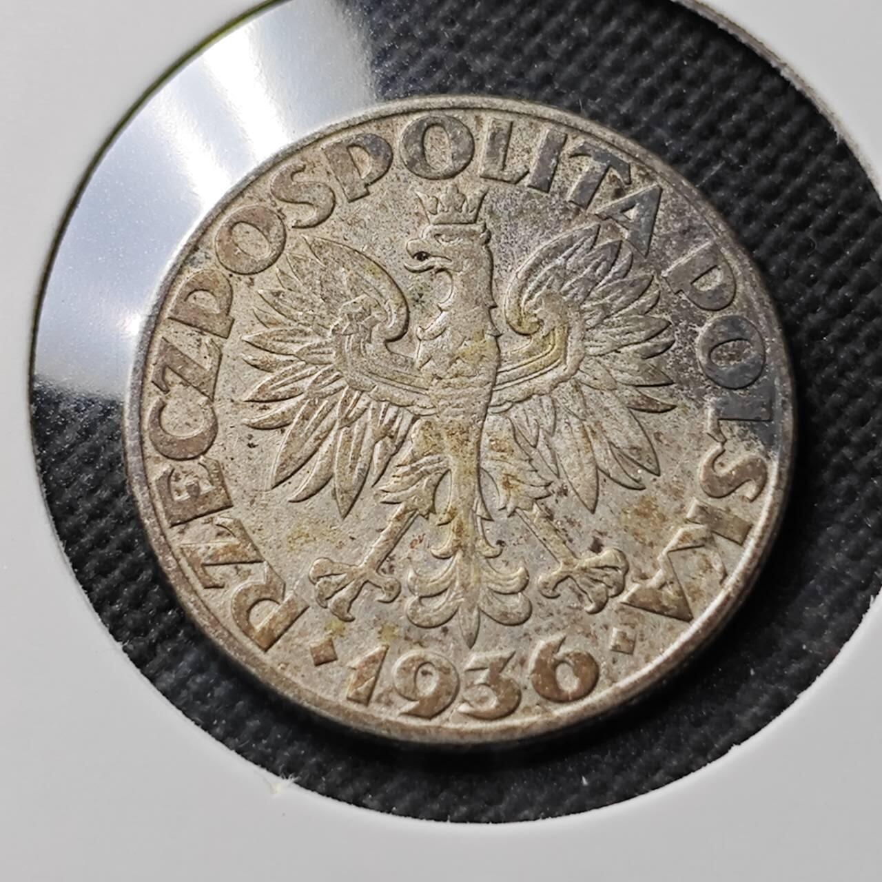 KK钱币收藏小铺  第400期  百期特拍（四拍之四）2月预留时间 周末发货