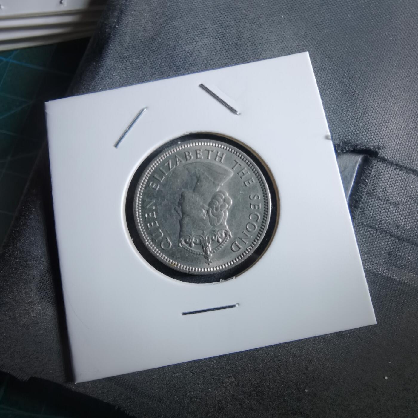 沼泽如烟--第966场