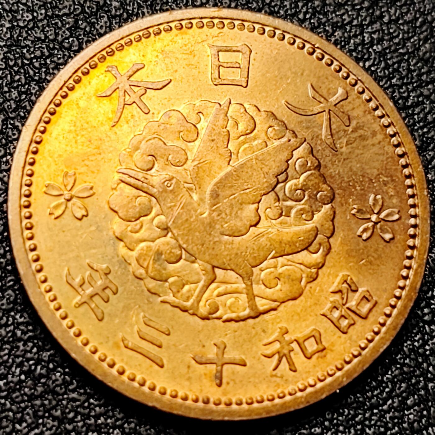 泉币菌-第172场- 精品福利场 。