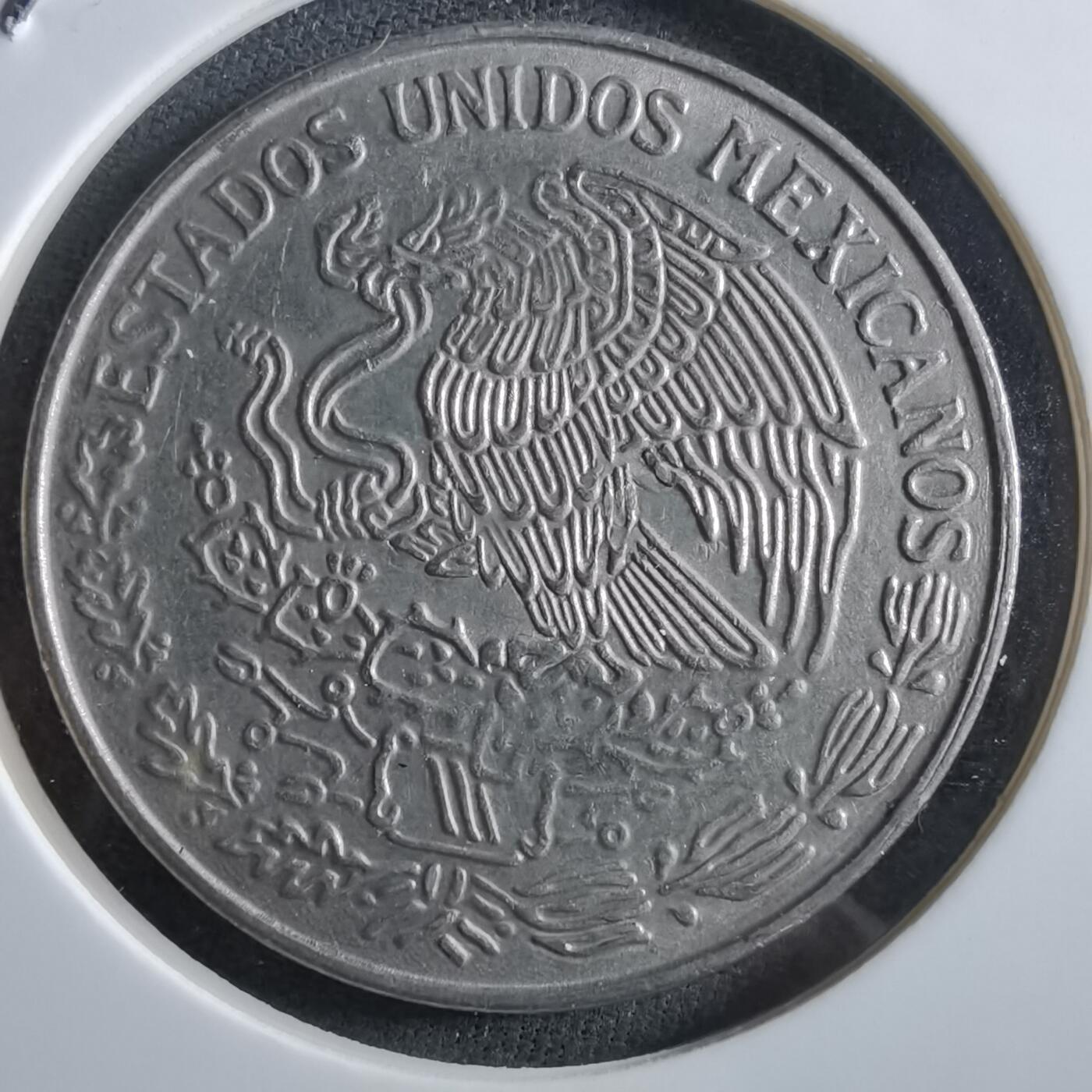 沼泽如烟--第966场