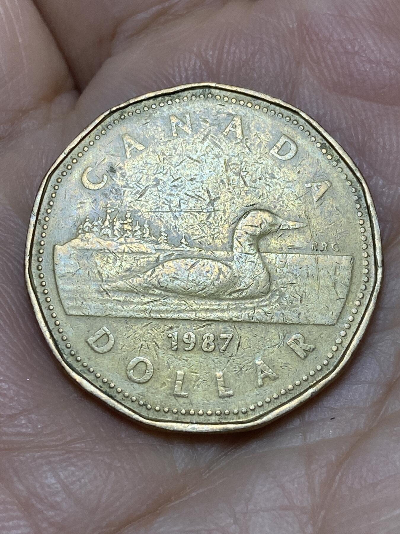 2026年第十一场(总第一百八十场）外国好品散币场(免佣金) 加拿大🇨🇦1987年1元(伊丽莎白二世中年花冠，浅浮雕版)