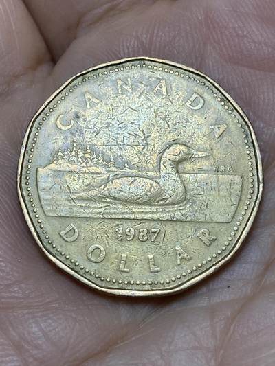 2026年第十一场(总第一百八十场）外国好品散币场(免佣金) - 加拿大🇨🇦1987年1元(伊丽莎白二世中年花冠，浅浮雕版)