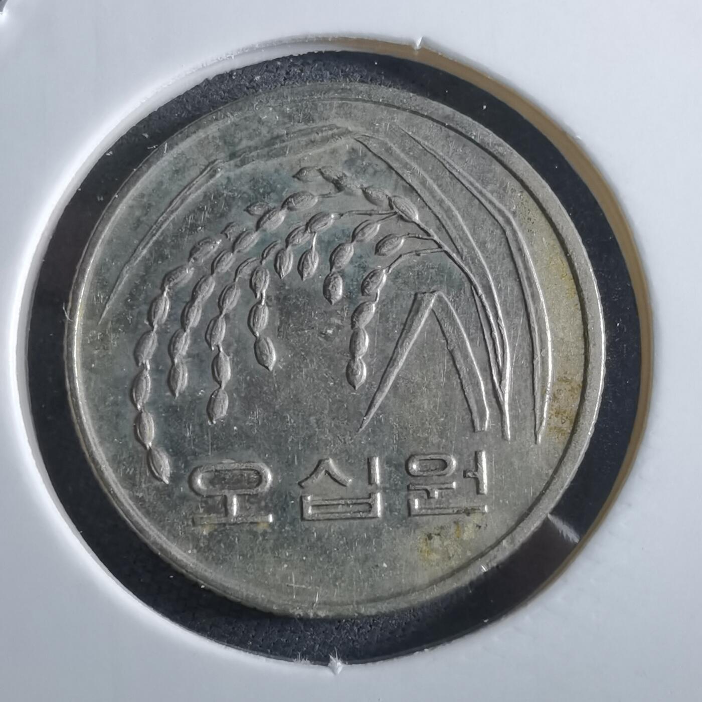 沼泽如烟--第966场