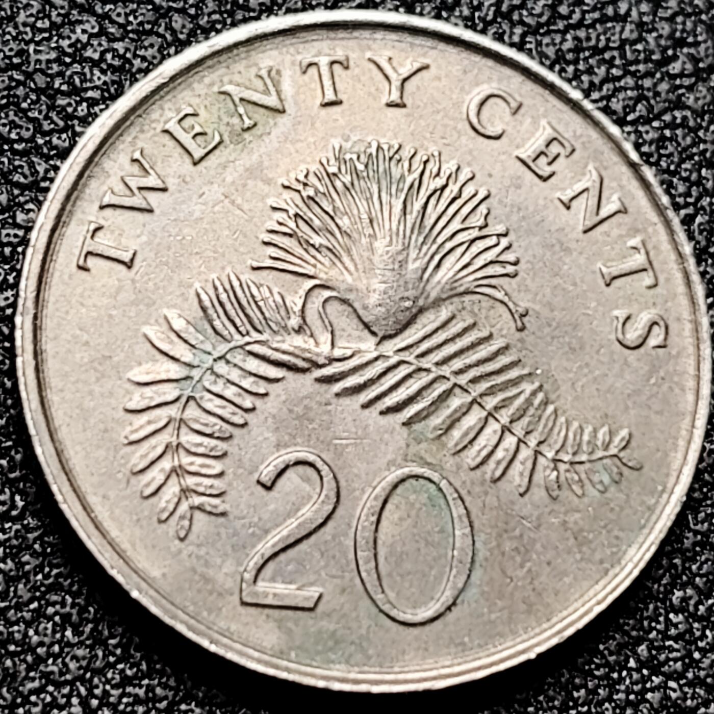 泉币菌-第172场- 精品福利场 。