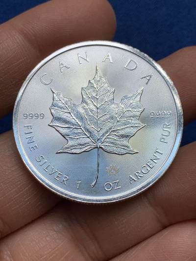 《竞宝斋》第459场 周日，周一，2场连拍 （全场包邮）欢迎送拍 - 加拿大2015年枫叶投资银币，1盎司，9999银，31.1克
