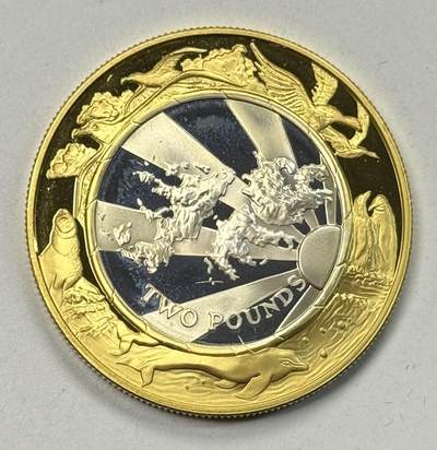 S&S Numismatic世界钱币-拍卖 第119期  - 福克兰群岛1999年 千禧年 2英镑精制纪念镀金银币 28.28克925银