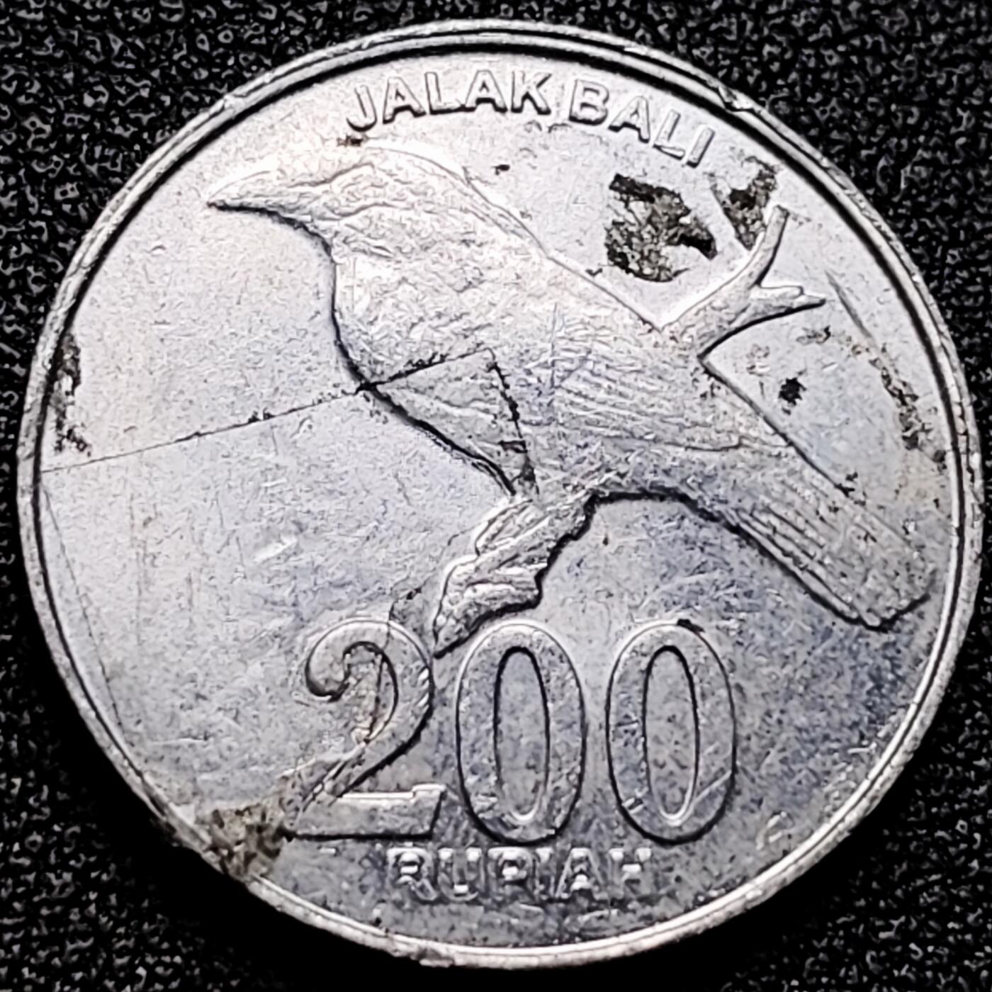 泉币菌-第172场- 精品福利场 。