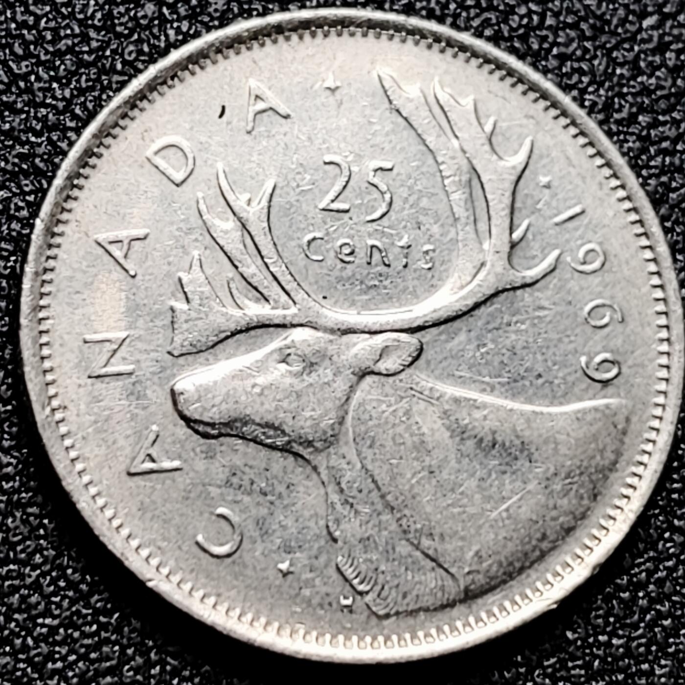 泉币菌-第172场- 精品福利场 。