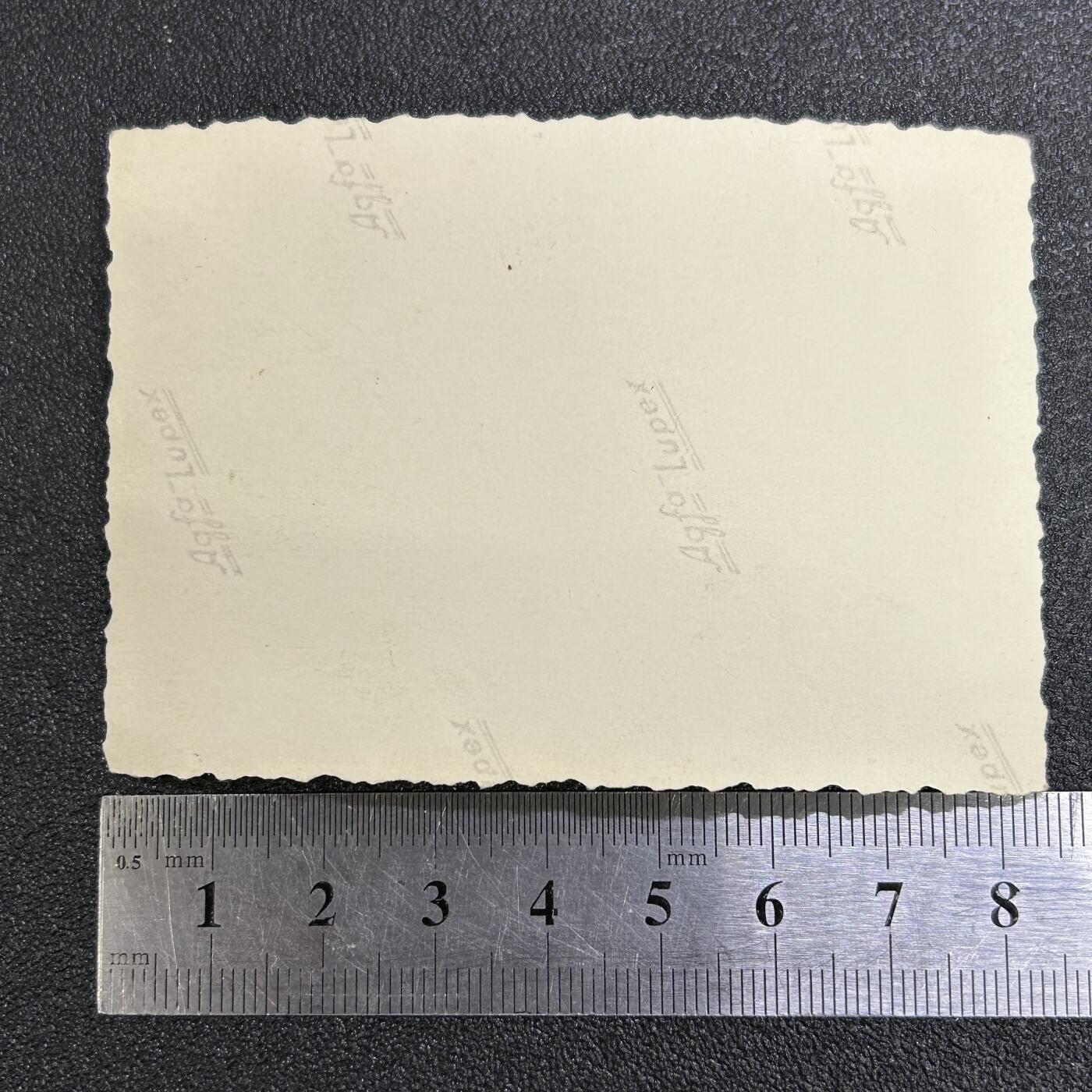 西秦中古拍卖第七十三期 二战 德军集体合影照片 多人被授勋