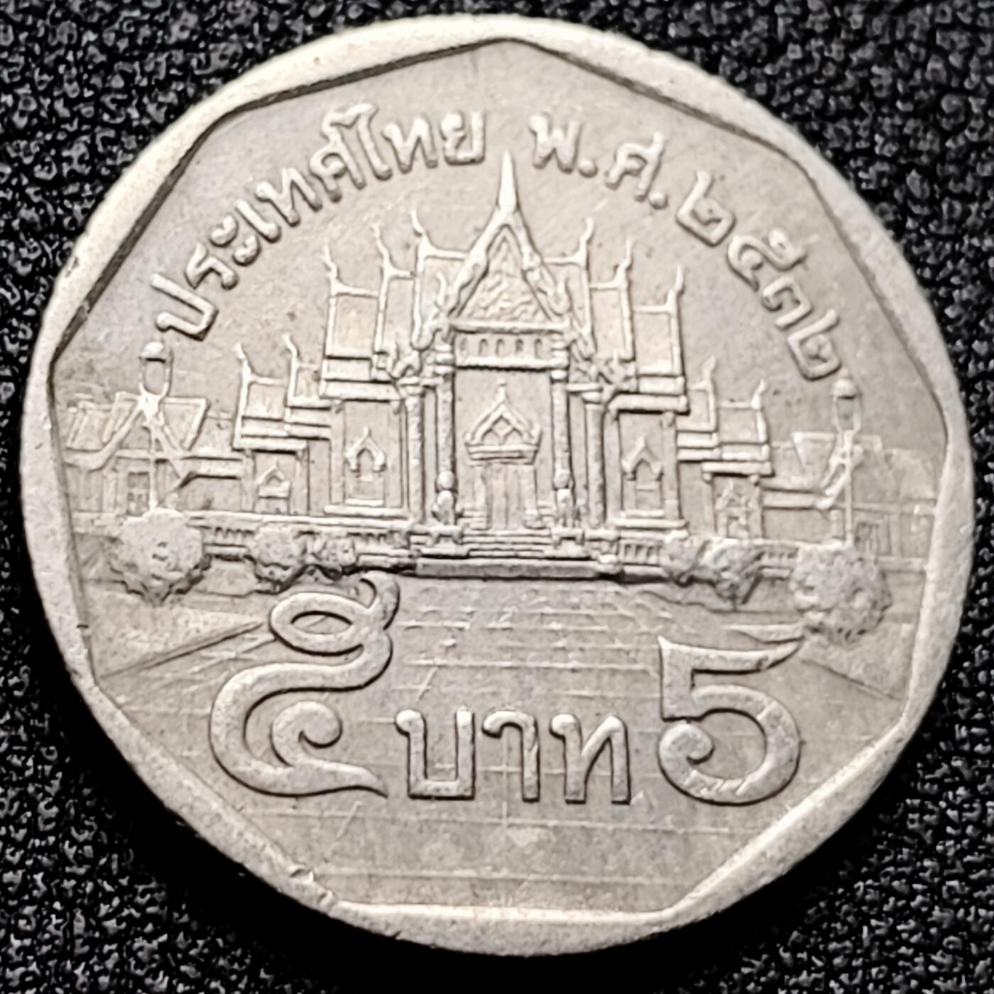 泉币菌-第172场- 精品福利场 。