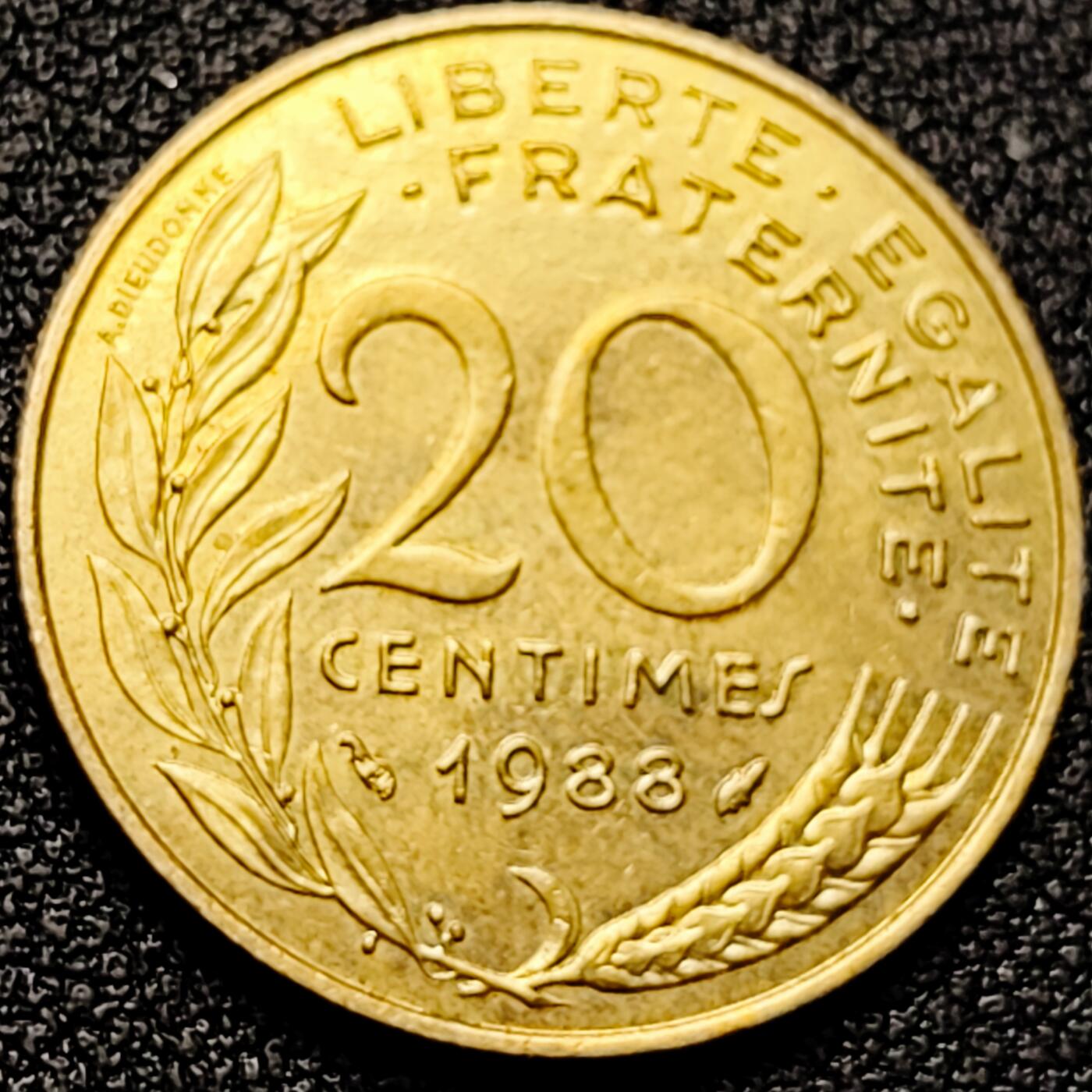 泉币菌-第172场- 精品福利场 。