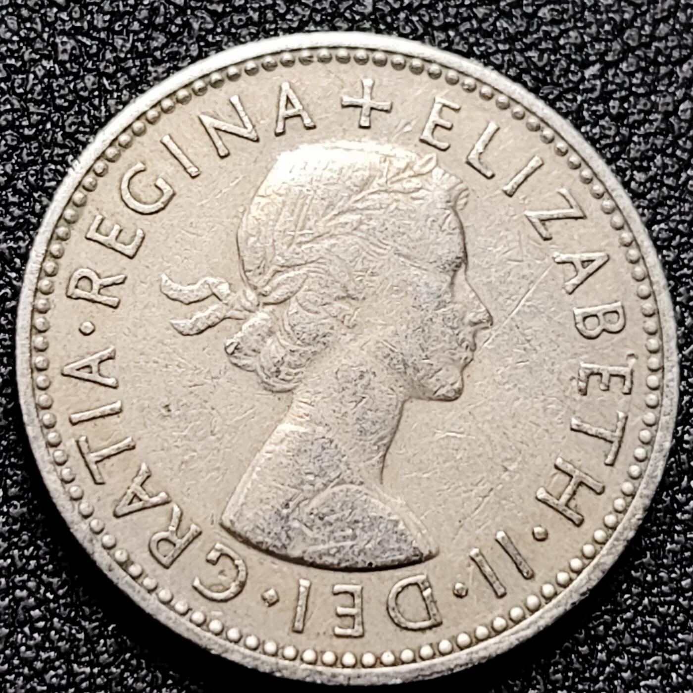 泉币菌-第172场- 精品福利场 。