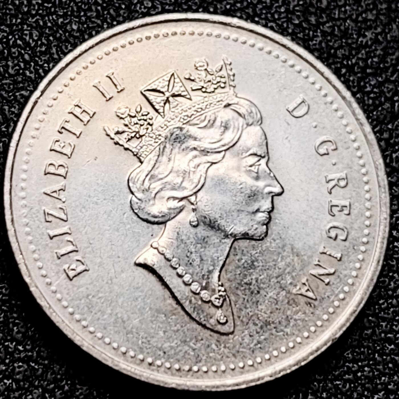 泉币菌-第172场- 精品福利场 。