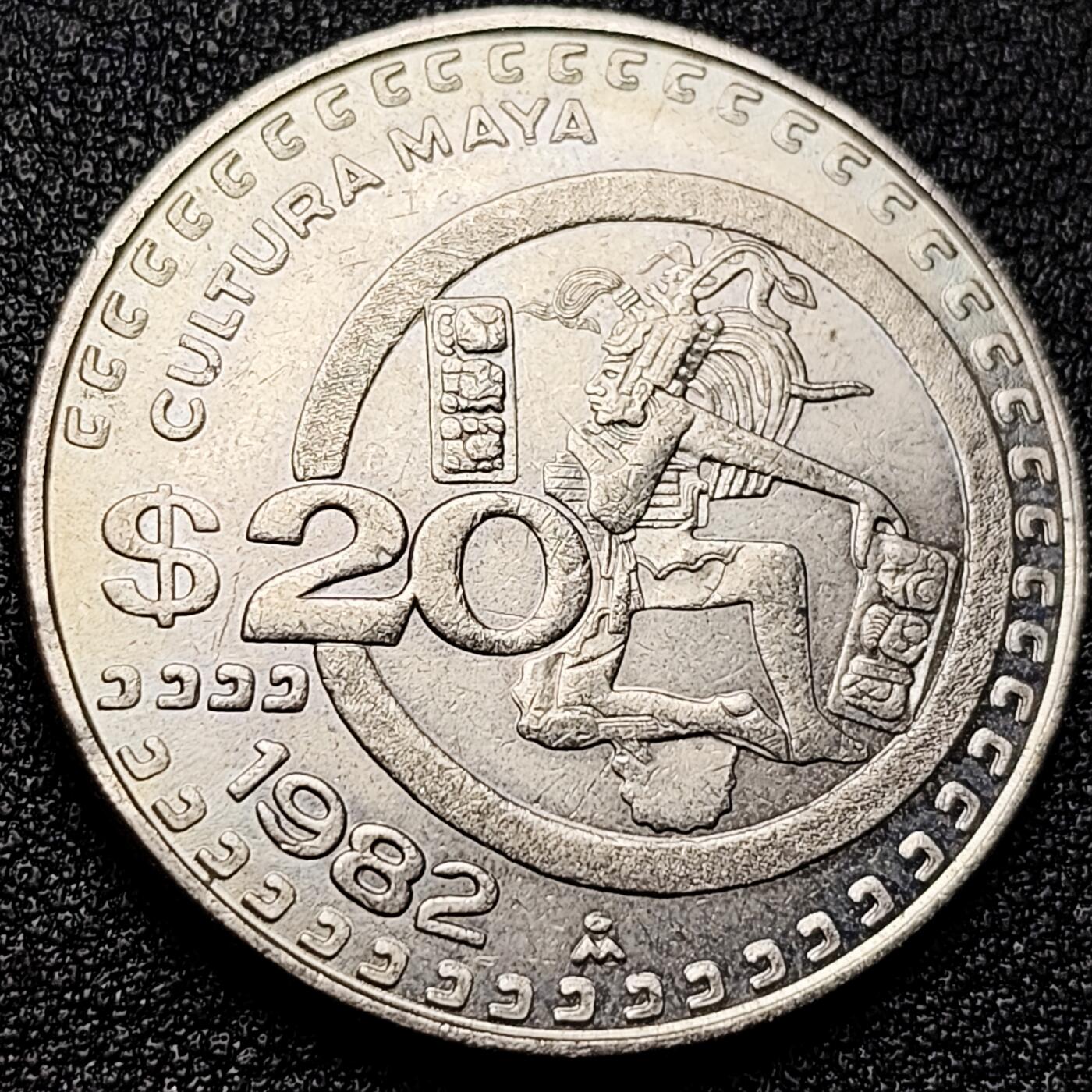 泉币菌-第172场- 精品福利场 。