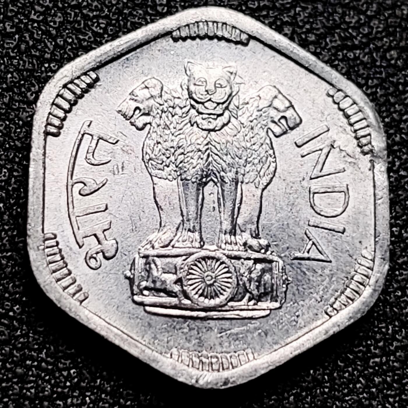 泉币菌-第172场- 精品福利场 。