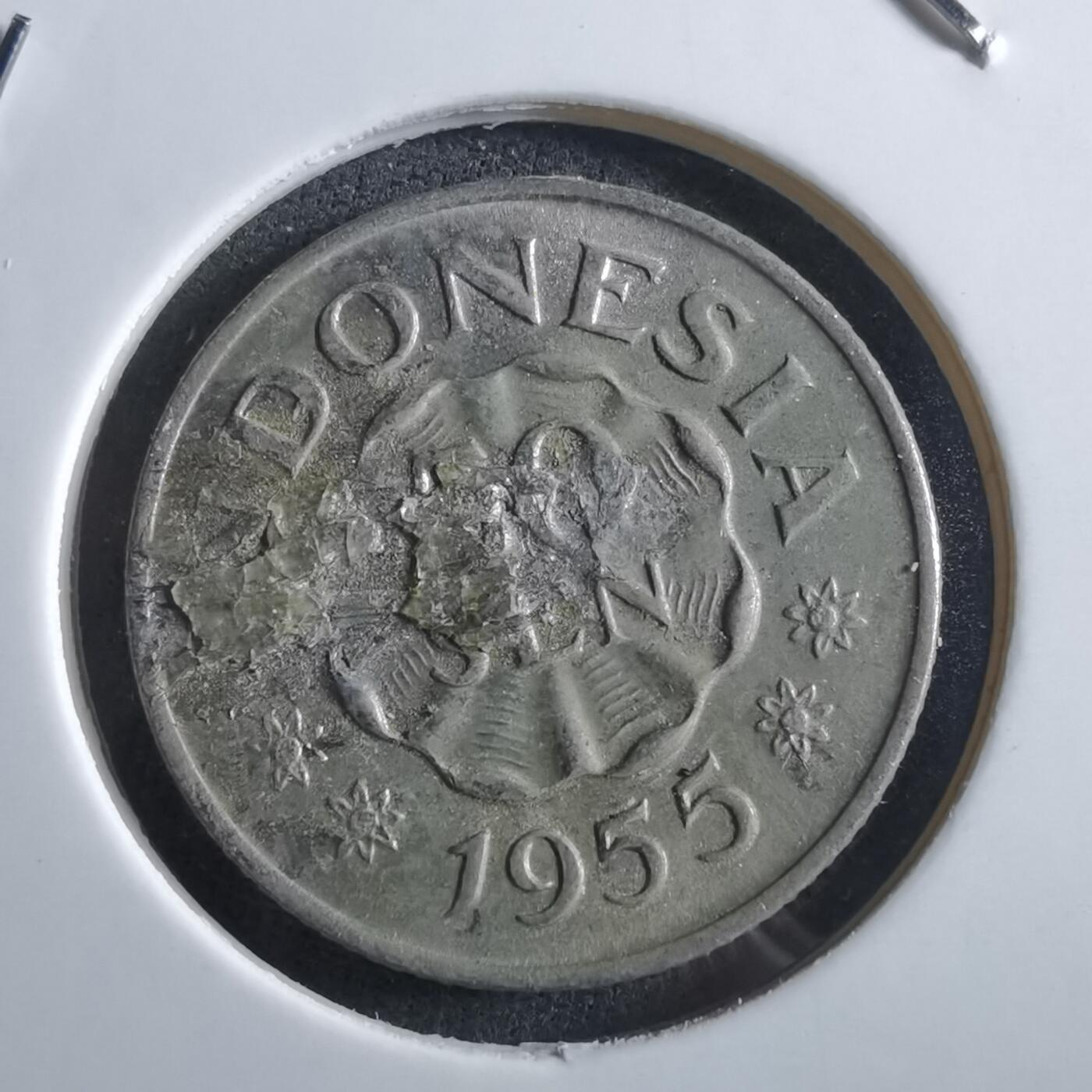 沼泽如烟--第966场 印度尼西亚1955年50分