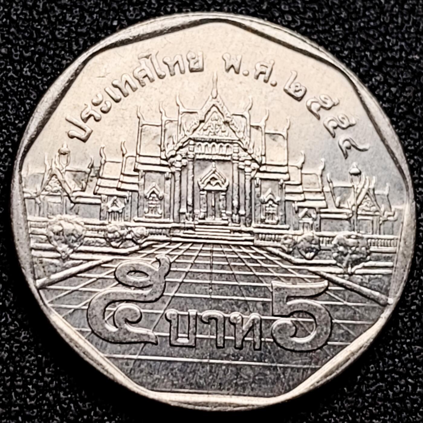 泉币菌-第172场- 精品福利场 。