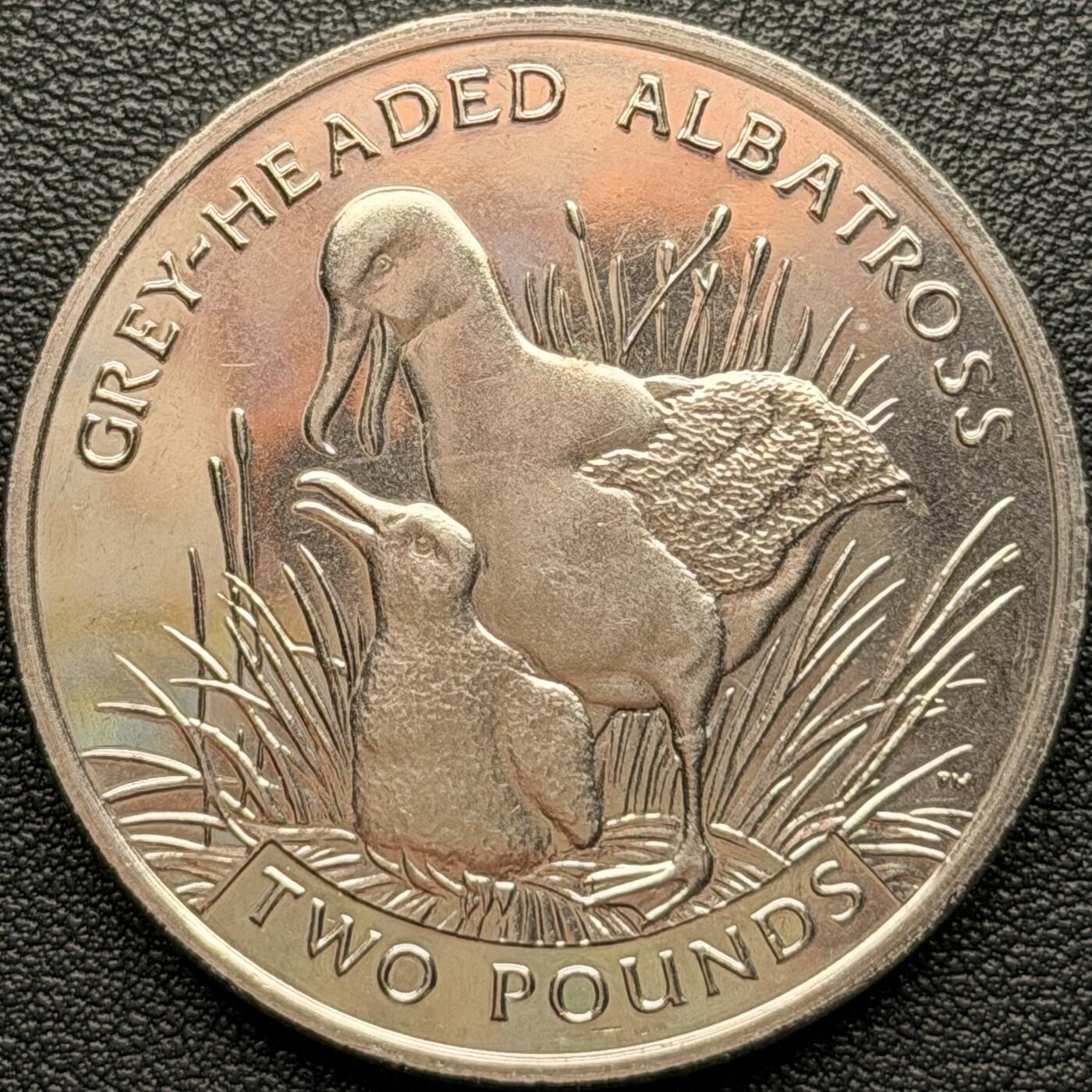 ＜星葵钱币社＞散币克朗场第68期·1月23日发货 南乔治亚岛和南桑威奇群岛2006年灰头信天翁2镑克朗型纪念币