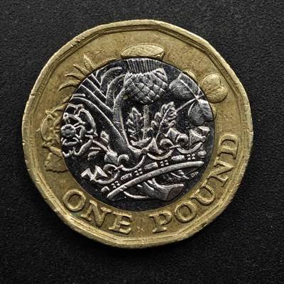 【淘币小摊】实时拍第八百五十拍   散币银币场   满百包邮可预留二周 每周一统一发货   - 英国2016年一镑双色币