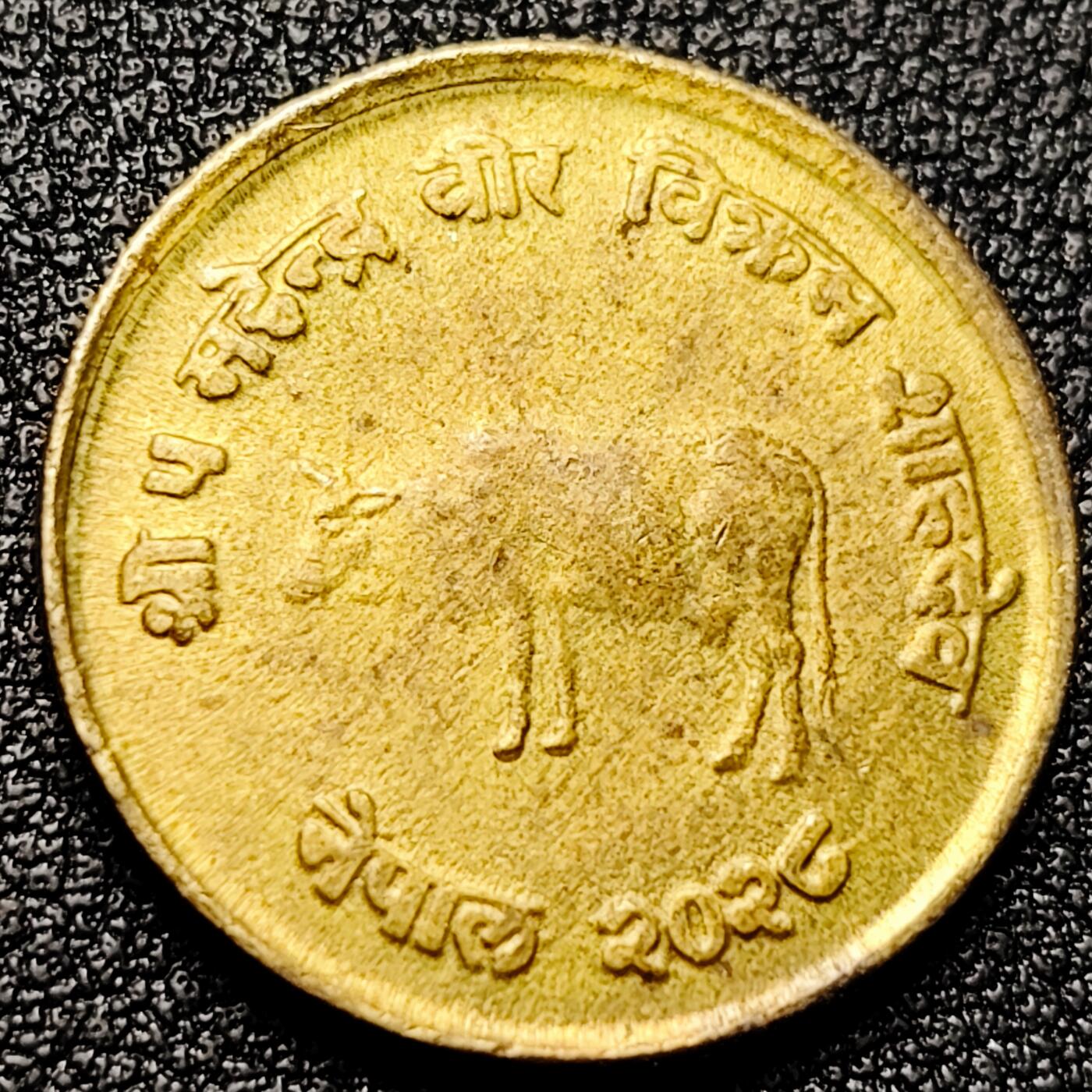 泉币菌-第172场- 精品福利场 。