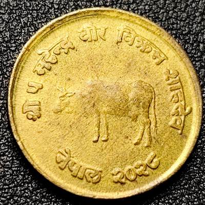 泉币菌-第172场- 精品福利场 - 尼泊尔1971年麦穗版FAO纪念币10派沙 铜锌 21mm 