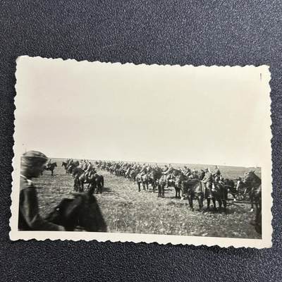 西秦中古拍卖第七十三期 - 二战 德军骑兵部队集体合影照片 