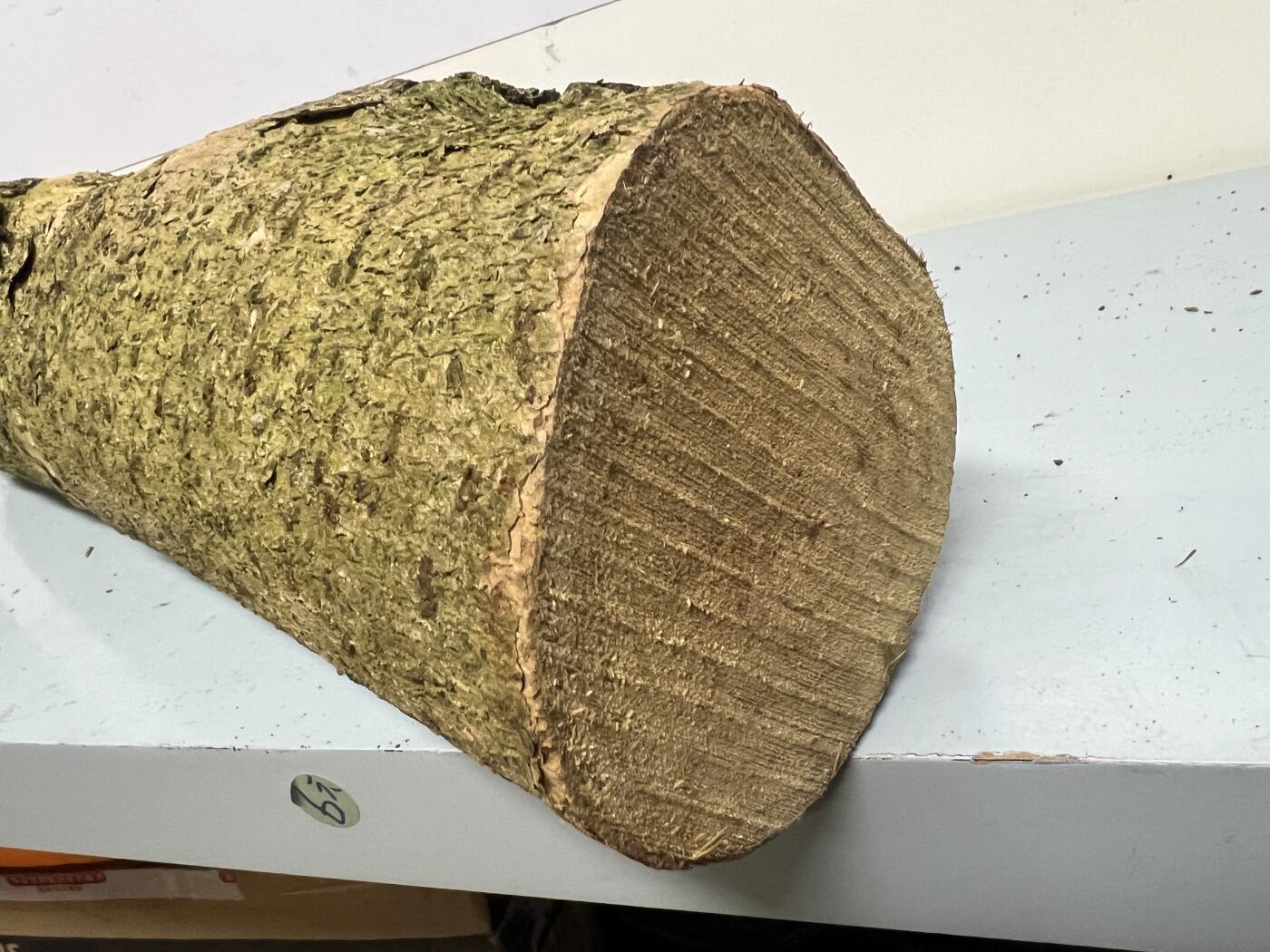 零元拍： 01-17-5金丝楠 原木 风水柱 横财（材）带皮， 尺寸：54/12CM。5.3公斤，抛光后金灿灿满香。