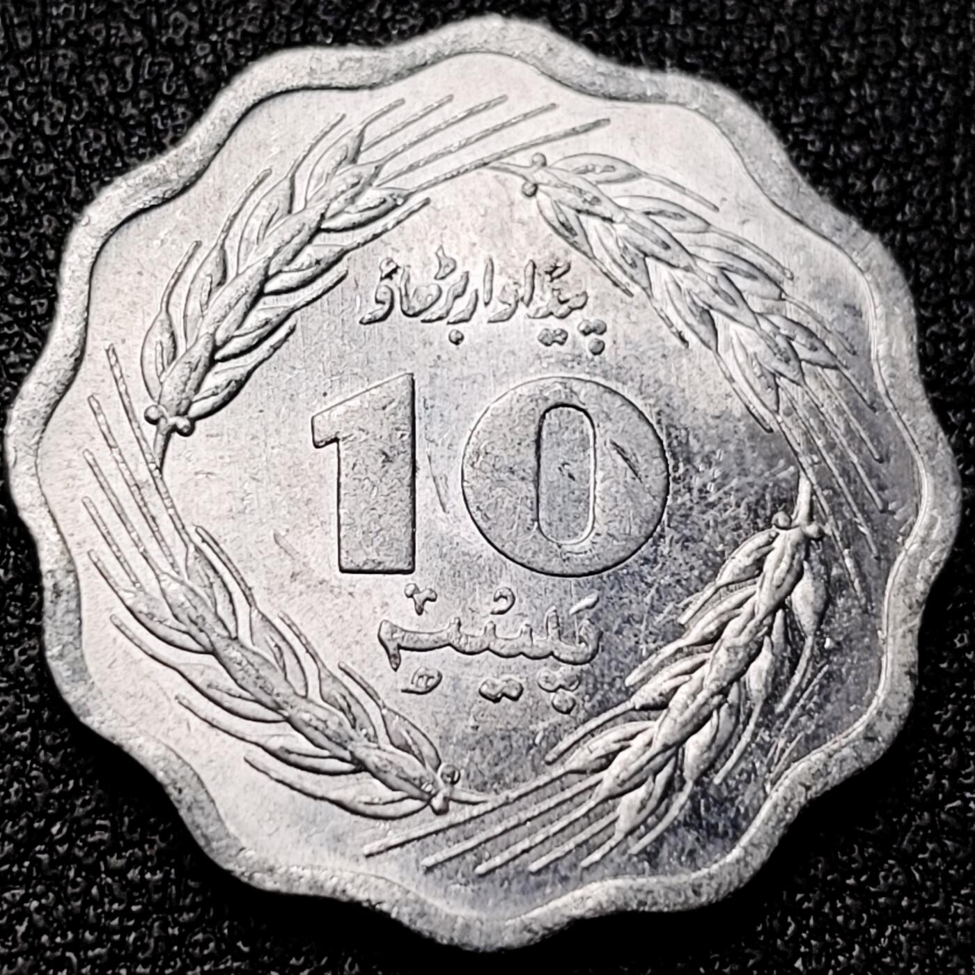 泉币菌-第172场- 精品福利场 。