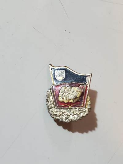 韵星假日拍卖第三十七期 -- Rimey Holidays Auction 37 - 民主德国fdj银级优秀成员三人头版本