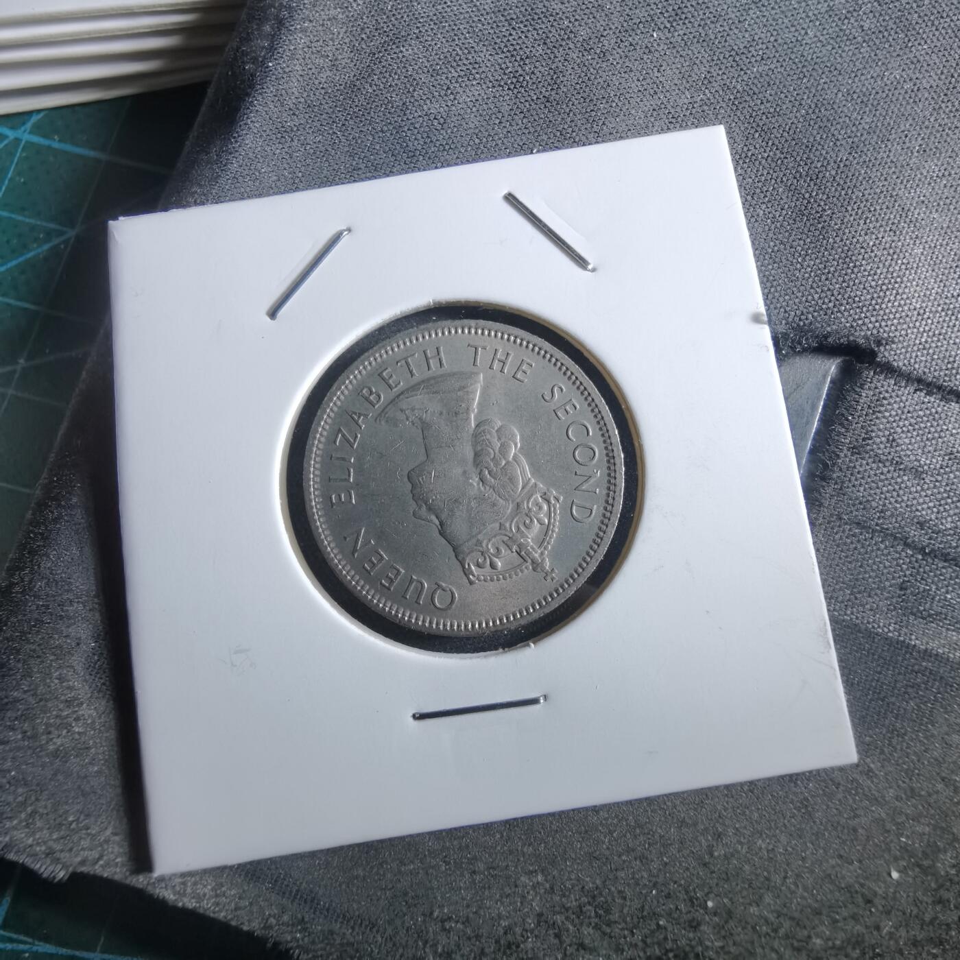 沼泽如烟--第966场