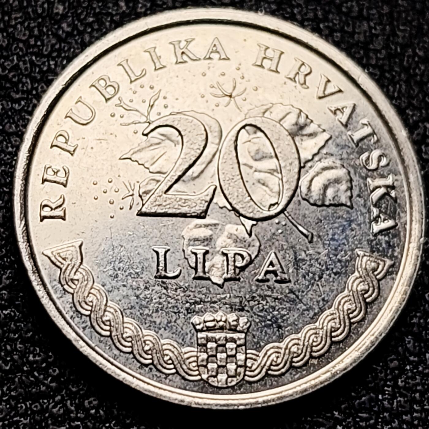 泉币菌-第172场- 精品福利场 。