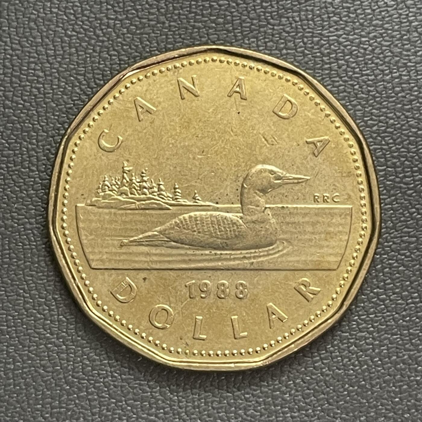 回流0120 加拿大1988年1加元 潜鸟