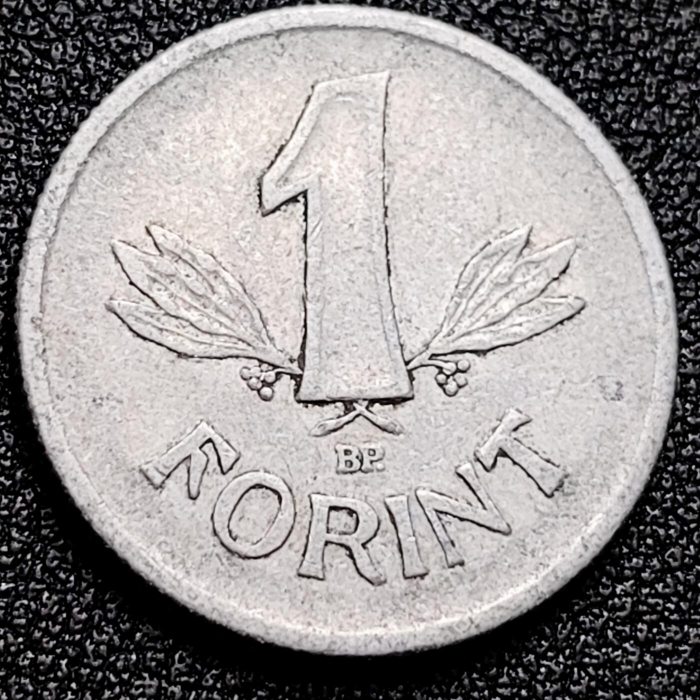 泉币菌-第172场- 精品福利场 。