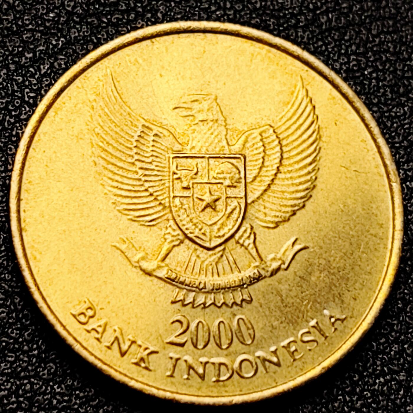 泉币菌-第172场- 精品福利场 。