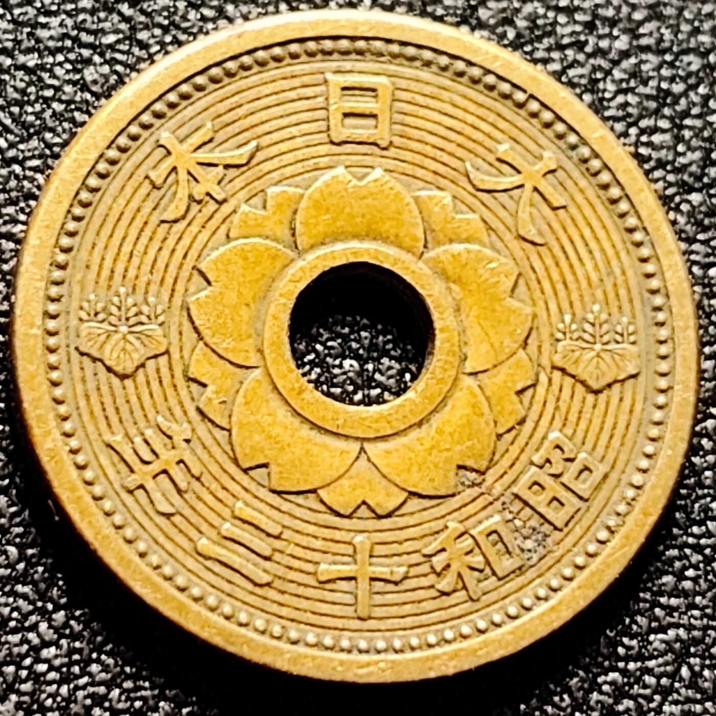 泉币菌-第172场- 精品福利场 。