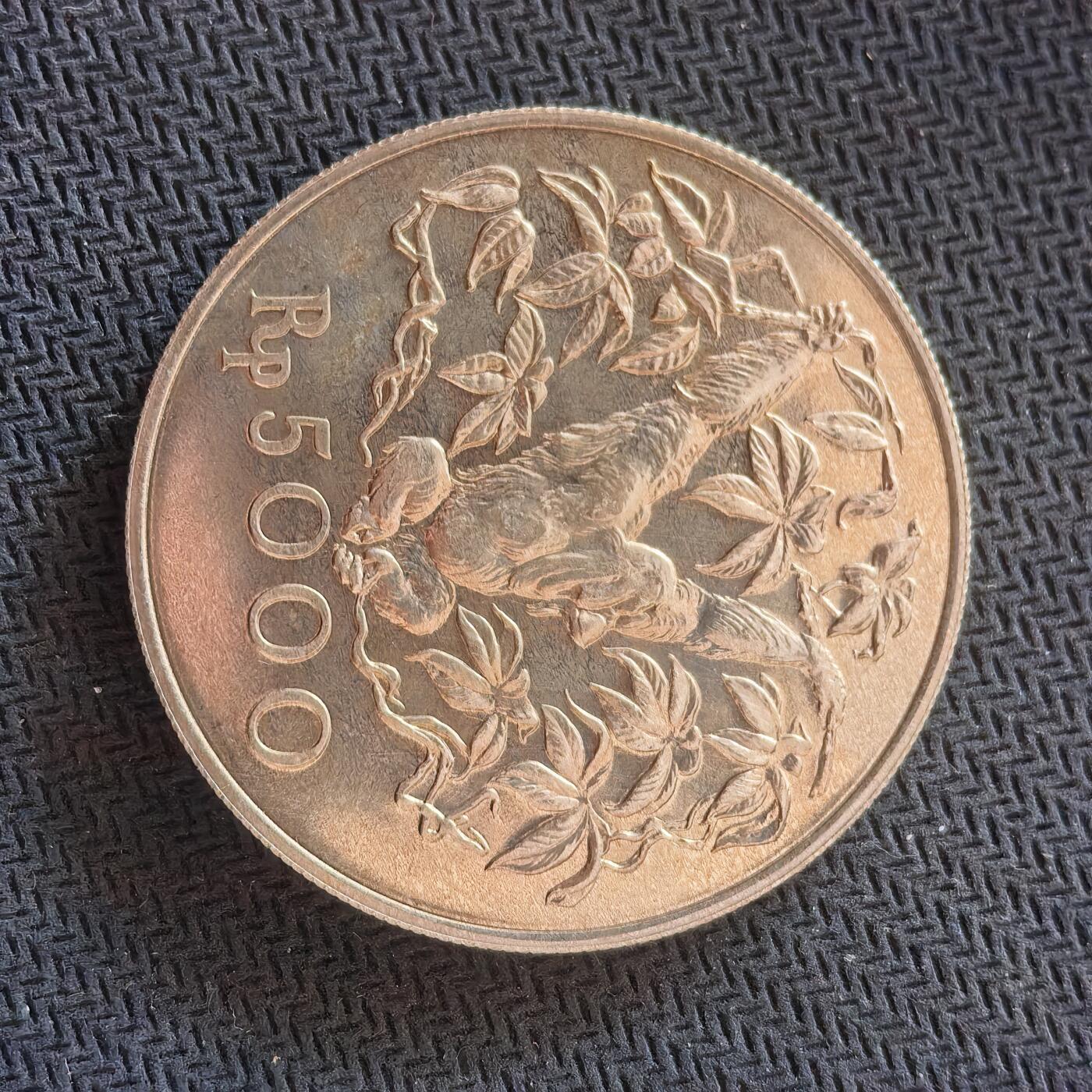 道一币馆币章第一百六十四场 印度尼西亚1974年红猩猩5000卢比银币 32g 500s