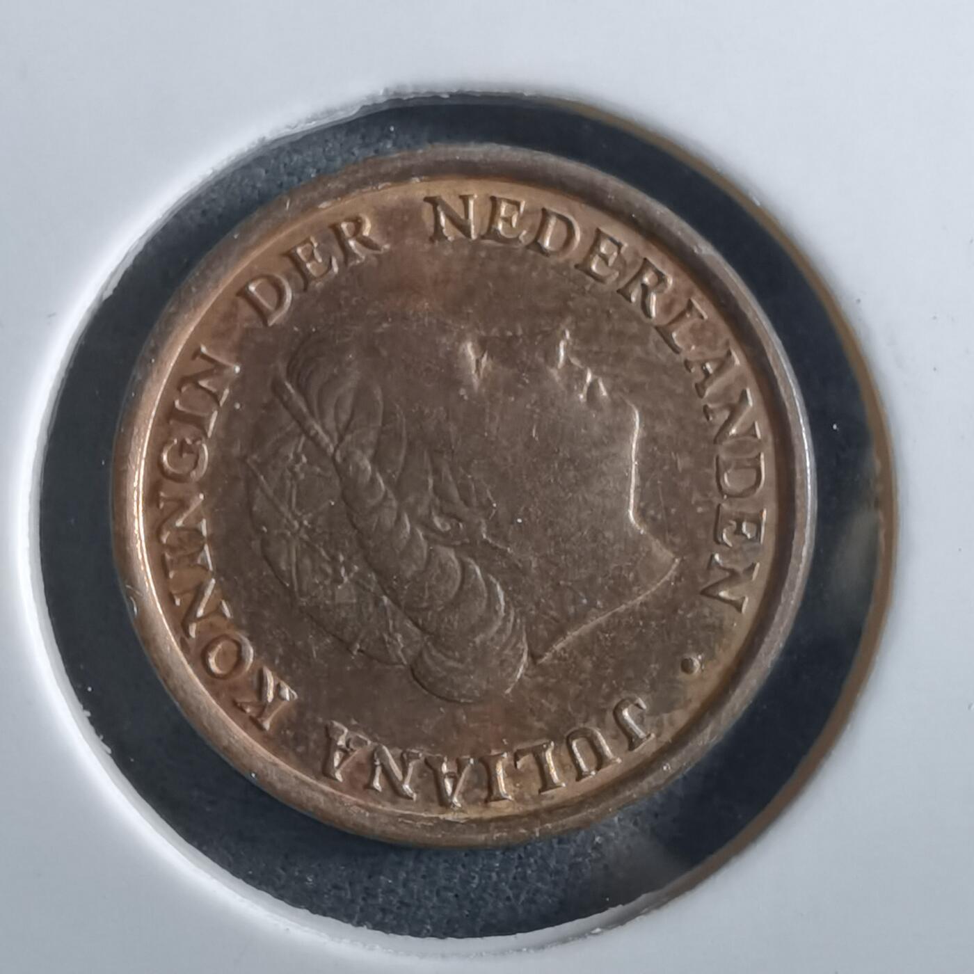 沼泽如烟--第966场