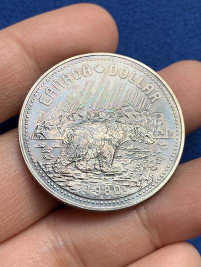 《竞宝斋》第459场 周日，周一，2场连拍 （全场包邮）欢迎送拍 - 加拿大1980年北极熊女王1元银币，约23.45g，500银。