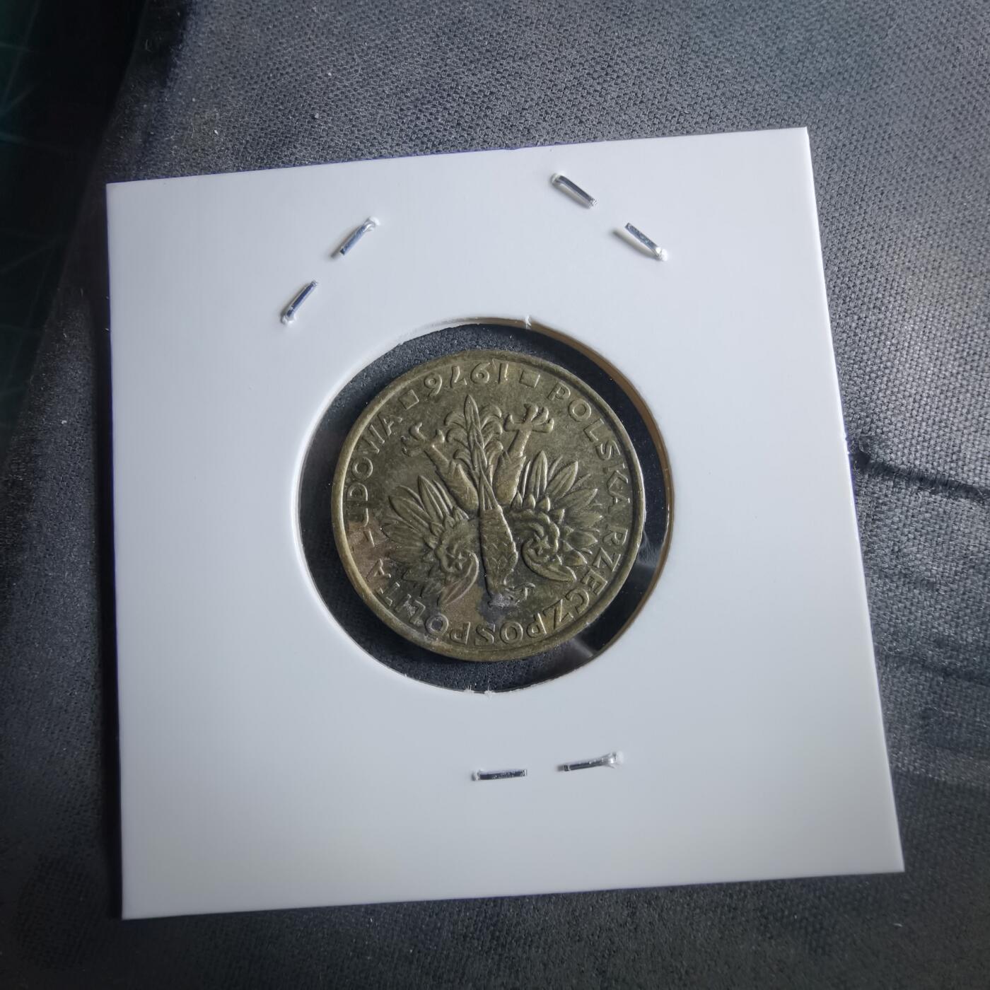 沼泽如烟--第966场