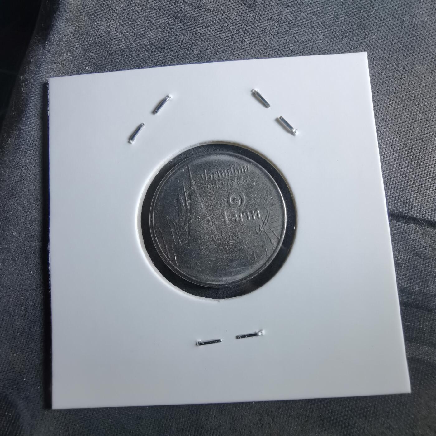 沼泽如烟--第966场 泰国