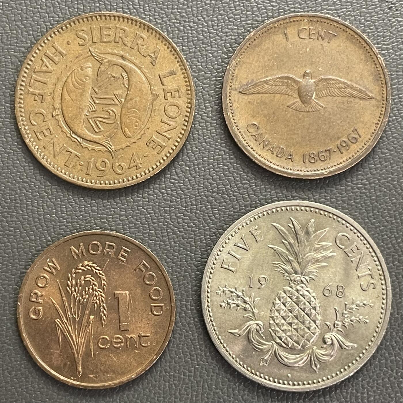 回流0120 4个小可爱